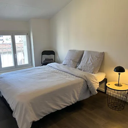 Cosy A Saint-etienne Quartier Calme